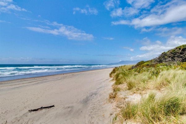 Ocean Shells Cottage image 5